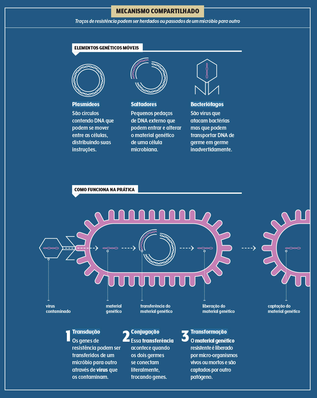 saude-supermicrobios-resistencia-antimicrobiana-tracos-bacterias