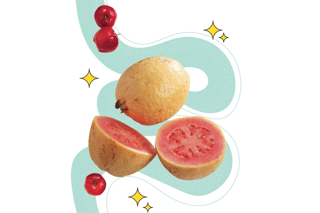 Frutas nativas são bem-vindas à nossa flora