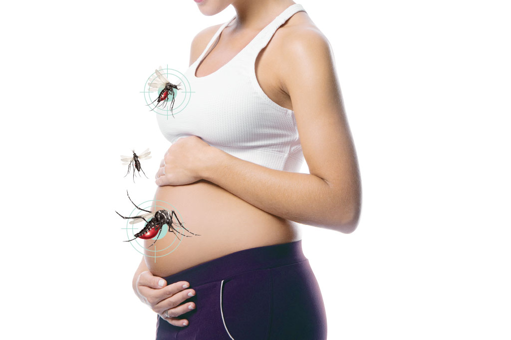 dengue-gravida