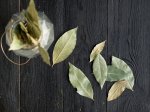 Usos do chá de louro na saúde: quais os benefícios