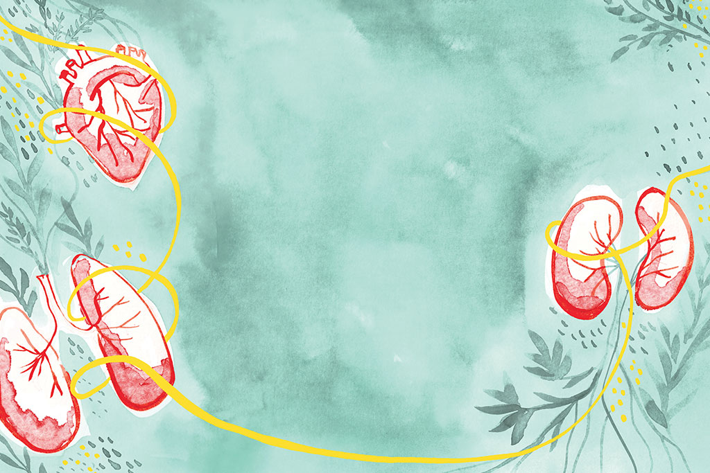 Doação de órgãos: a vida em constante movimento