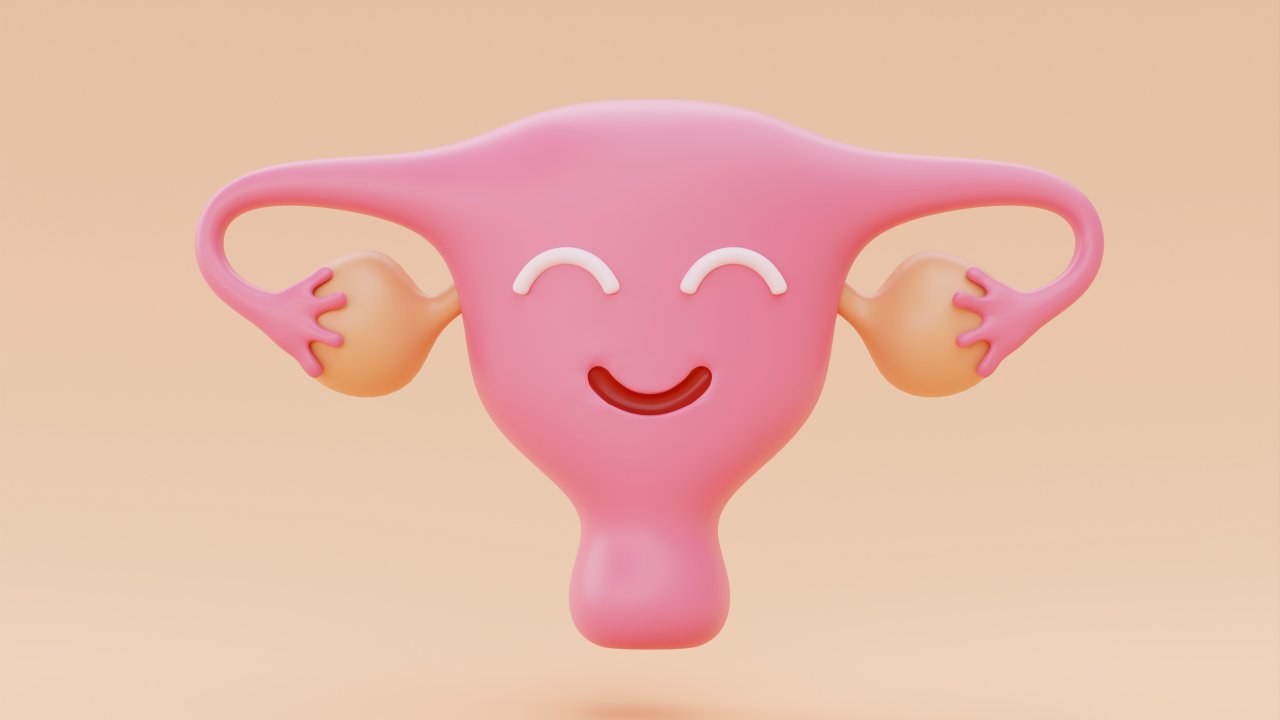 utero-ovario