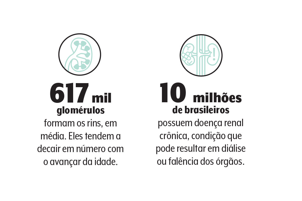 rins-dados rins-dados
