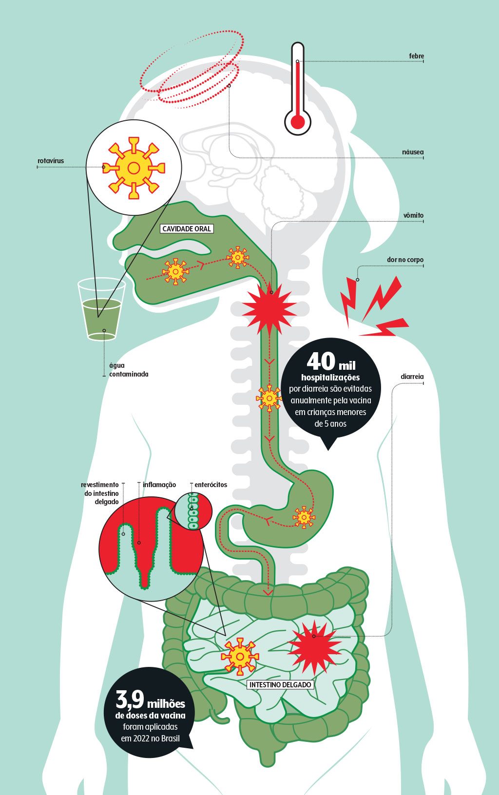 vacina-rotavirus-info vacina-rotavirus-info