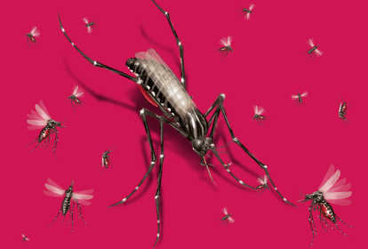 mosquitos-aquecimento-global-dengue