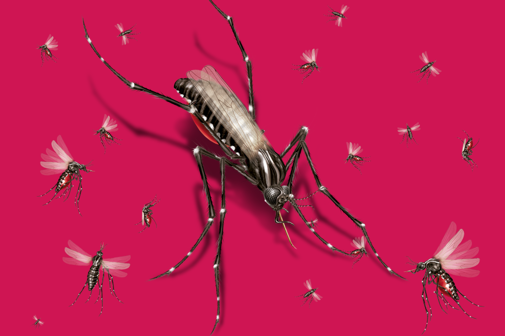 mosquitos-aquecimento-global-dengue