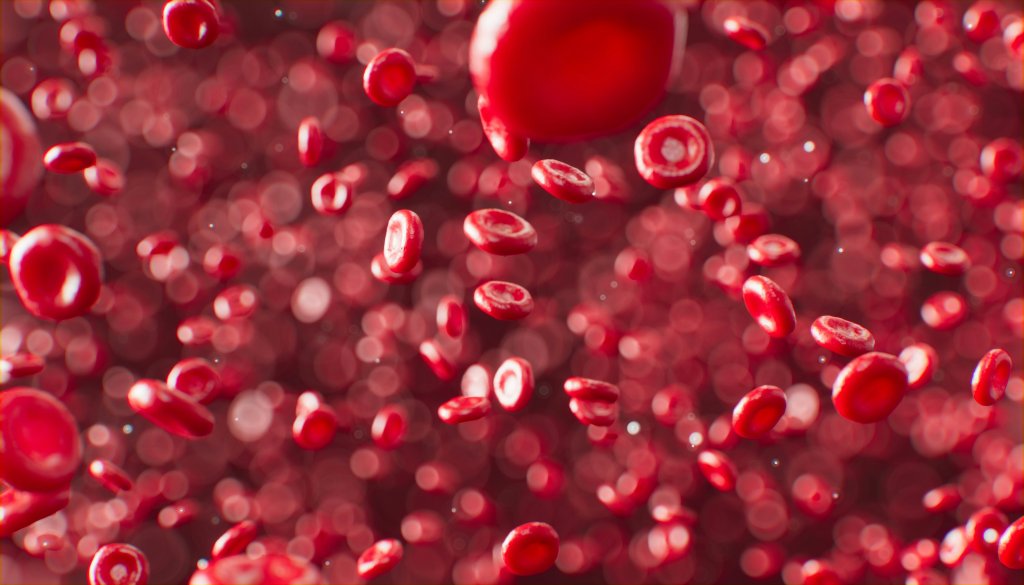 hemacias-o-que-sao-quais-as-funcoes-exame-de-sangue-hemograma-globulo-vermelho-eritrocitos