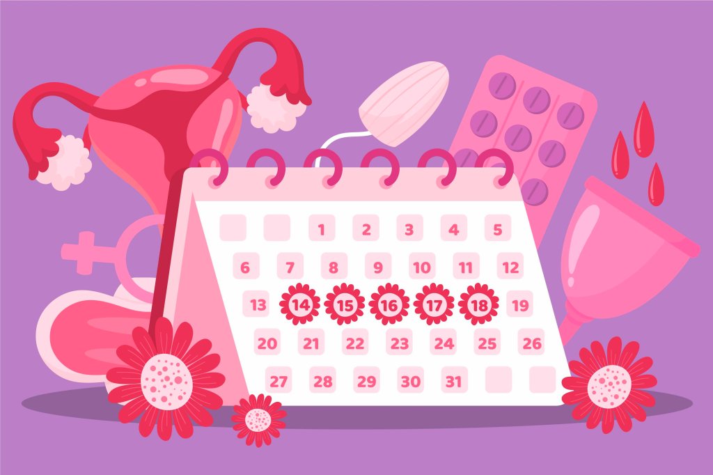 periodo-fertil-calendario-tabelinha-como-saber-momento-do-mes-ovulacao-menstruacao-gravidez