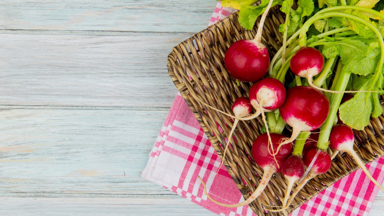 rabanete-quais-os-beneficios-como-incluir-na-dieta