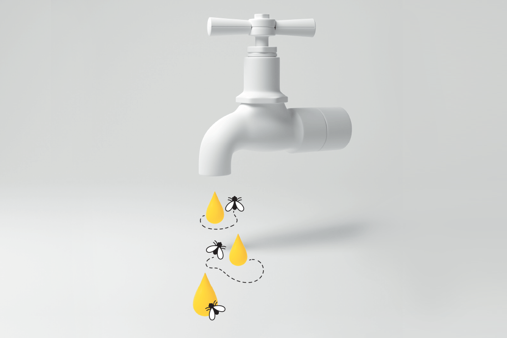 A água está cada vez mais em perigo no Brasil e no mundo