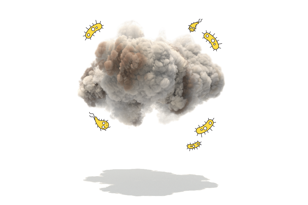 Fungos podem ser termômetro da qualidade do ar