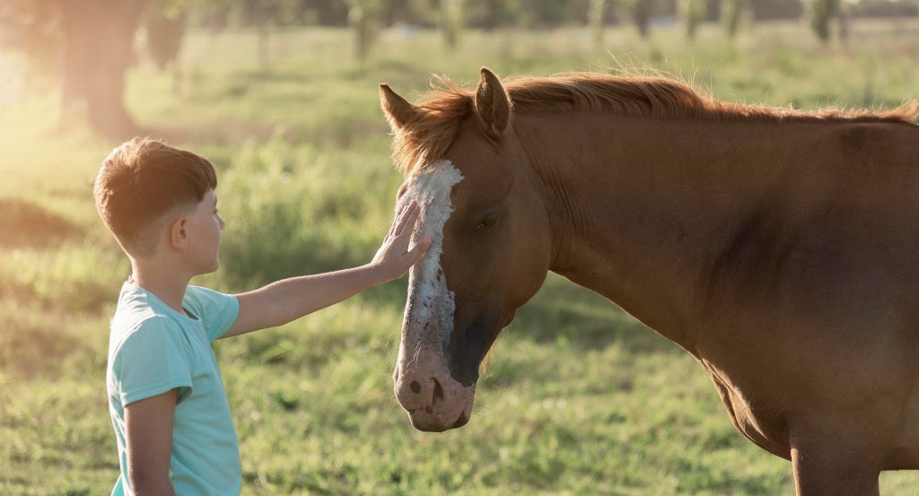 Terapia com animais reinsere crianças e adolescentes na sociedade