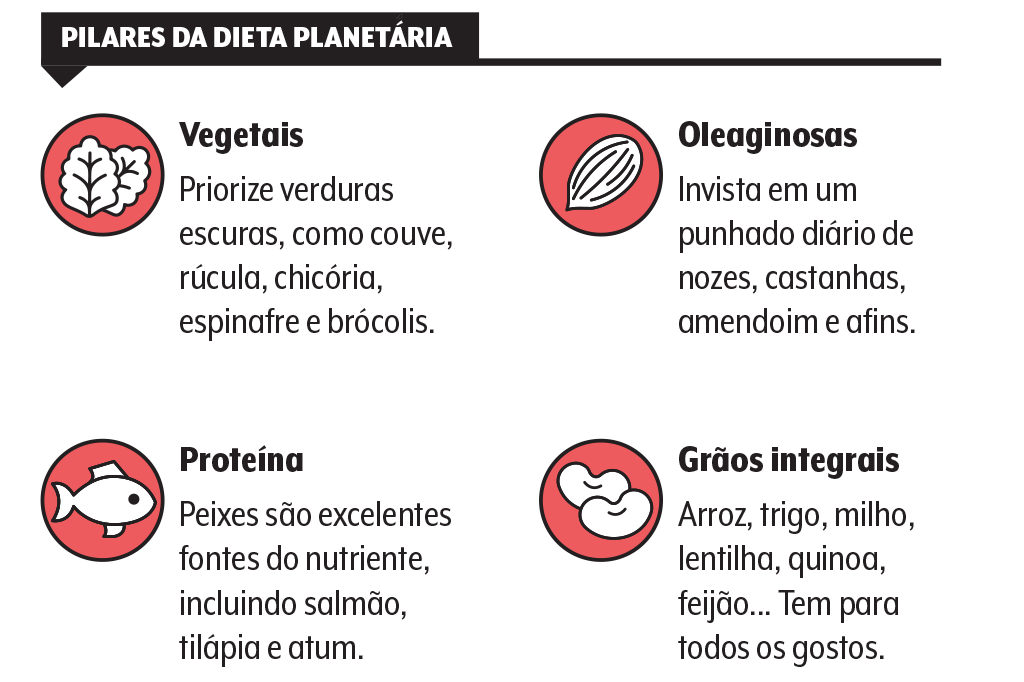 saude-envelhecer-dieta-planetaria-quadro