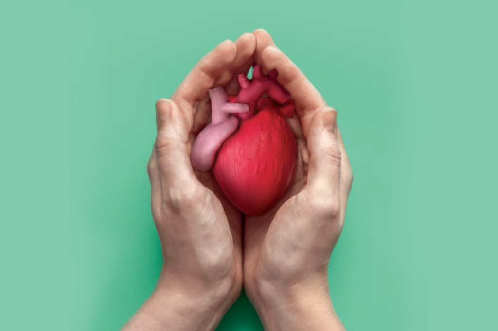 80% das mortes prematuras por doenças cardiovasculares são evitáveis