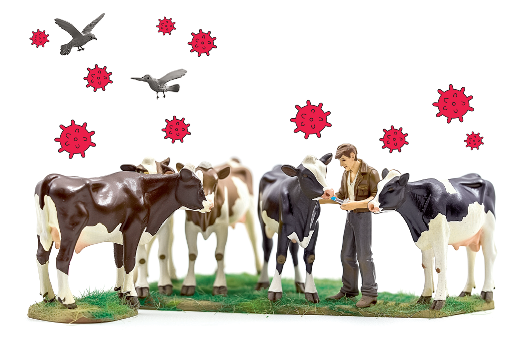 Gripe aviária está se aproximando dos humanos