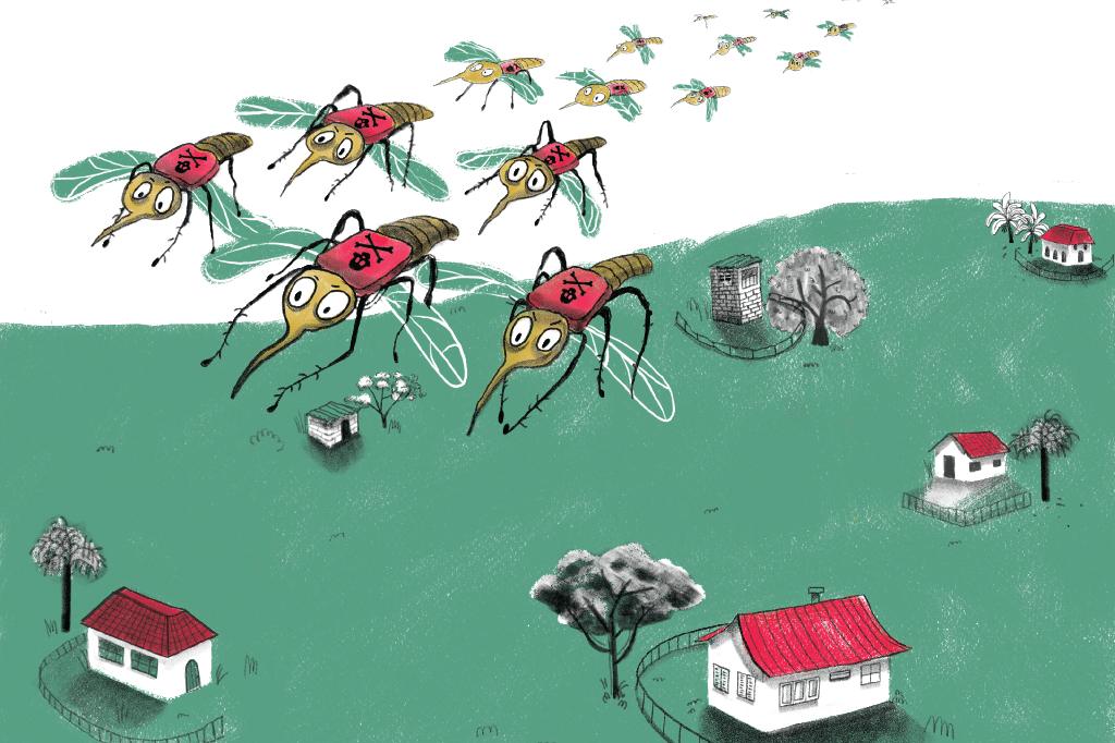 Radar da saúde: oropouche é a mais nova ameaça trazida por mosquitos