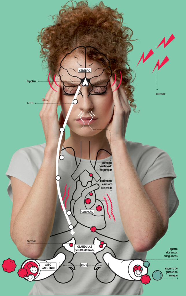 cortisol-como-atua cortisol-como-atua