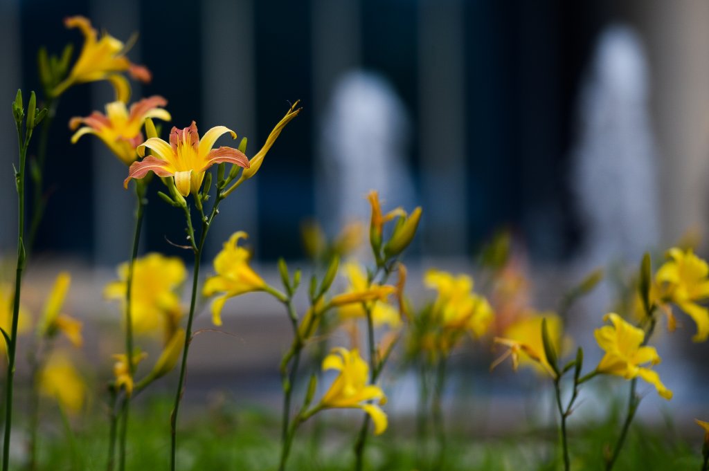 O que é o equinócio e como cuidar da saúde na primavera?