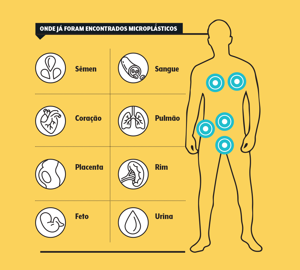 microplasticos-corpo-humano