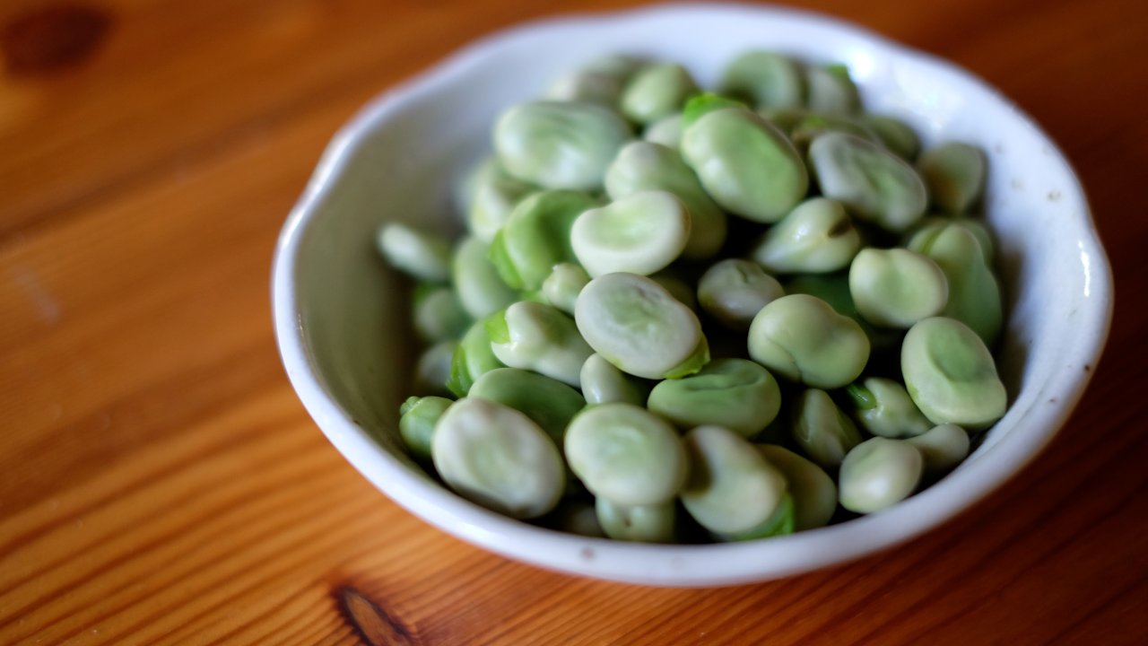 fava-alimentacao-beneficios