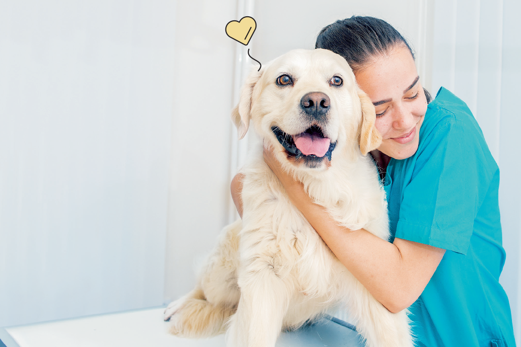 Você confia em seu veterinário? Pesquisa revela apreço por esse profissional