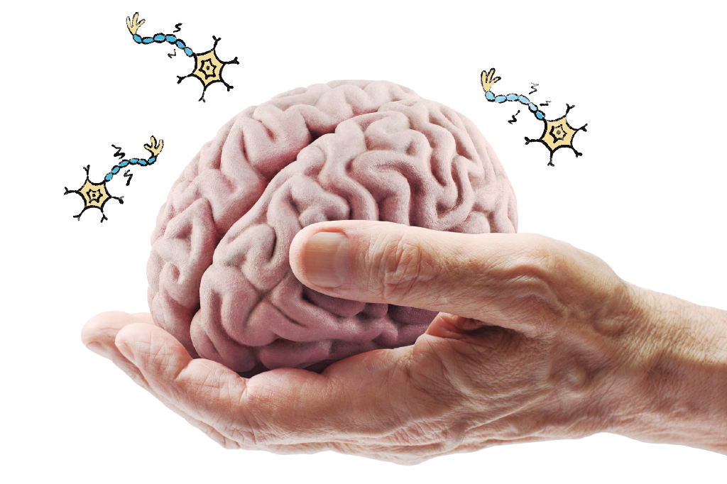 Pesquisa traça cenário da esclerose múltipla depois dos 50