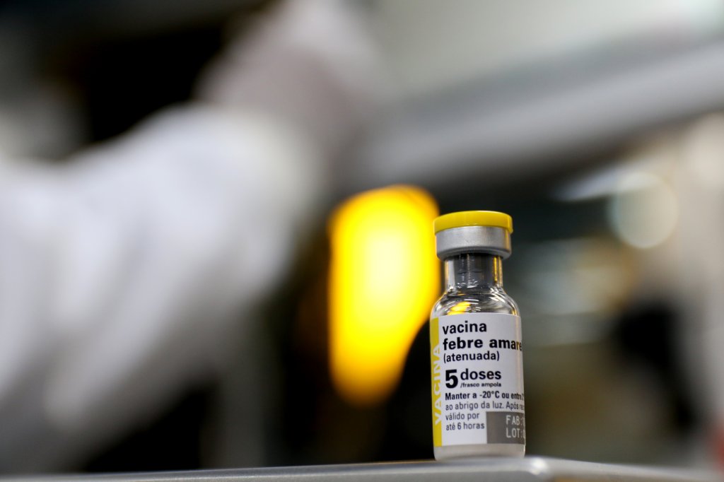 São Paulo confirma primeiro caso humano de febre amarela em 2025