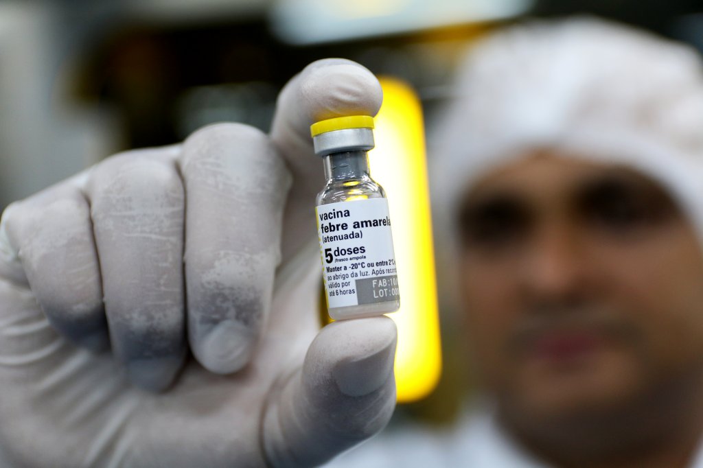 Febre amarela: doença em macacos em SP reforça importância da vacina