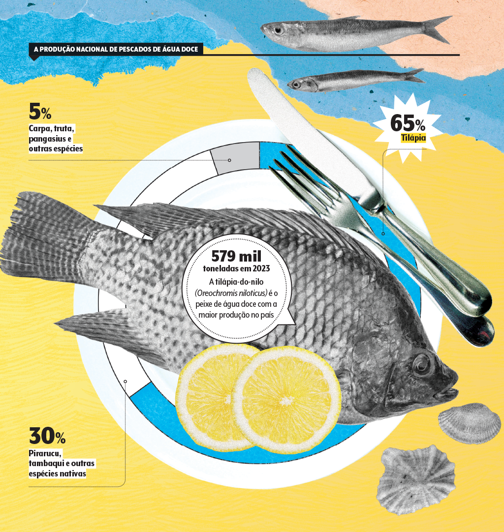 mat-peixes-quadro-grafico