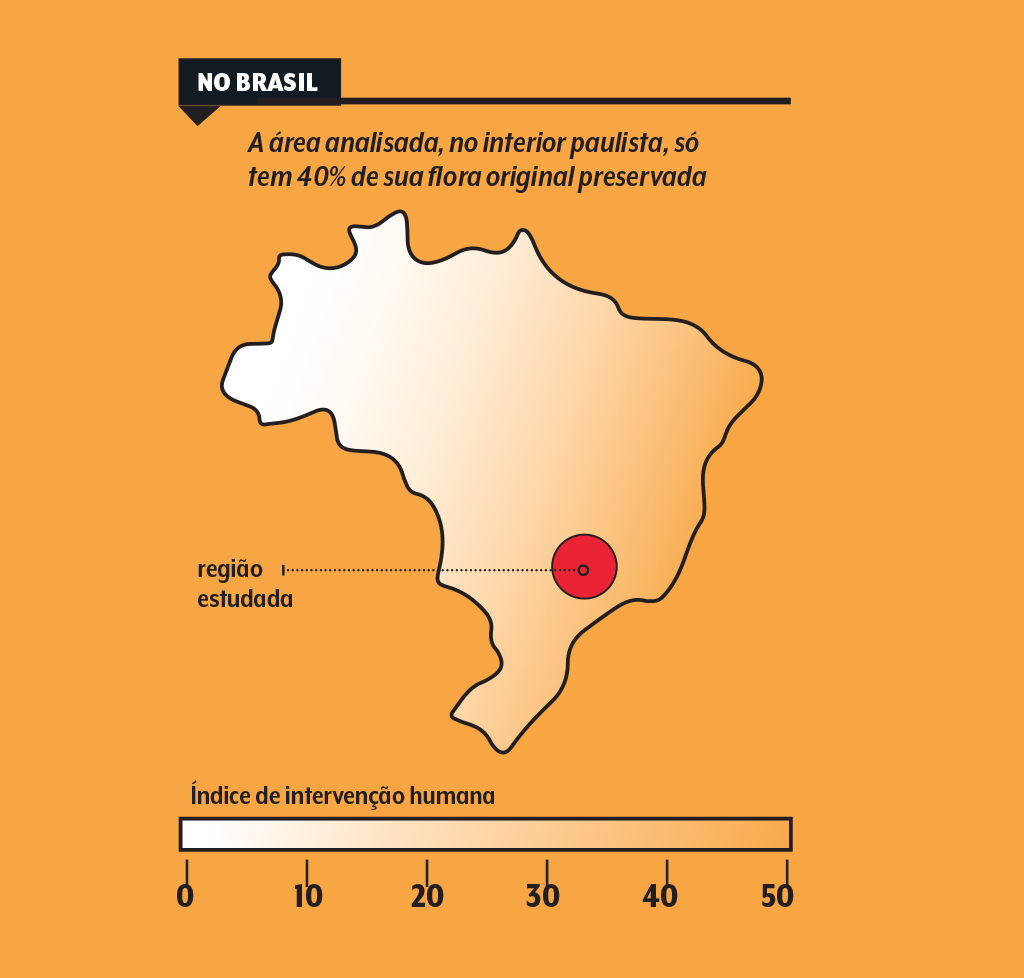 515-ecossistema-homem-natureza-mapa mapa-ecossistema