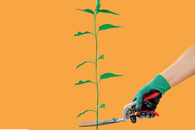 acao-do-homem-na-natureza