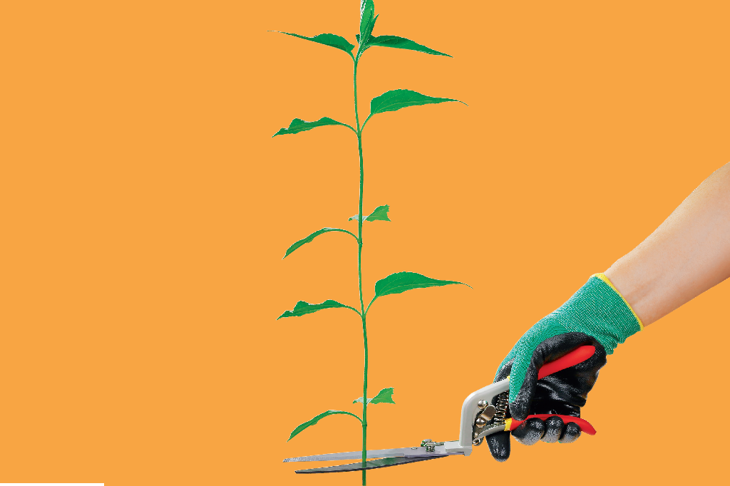 acao-do-homem-na-natureza