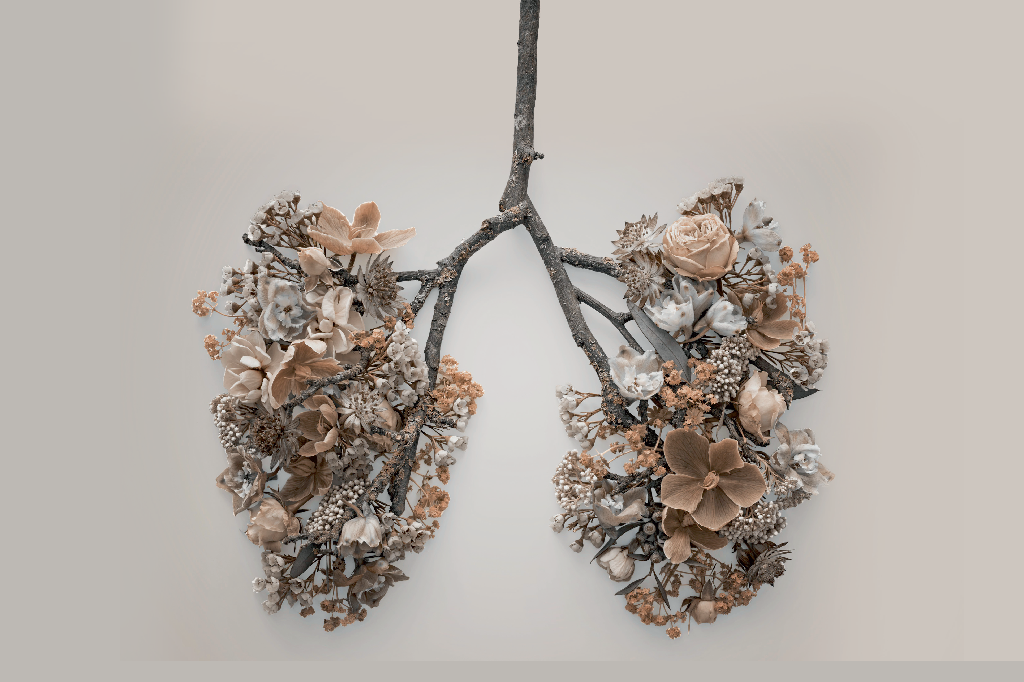 Câncer de pulmão: a metamorfose de uma doença