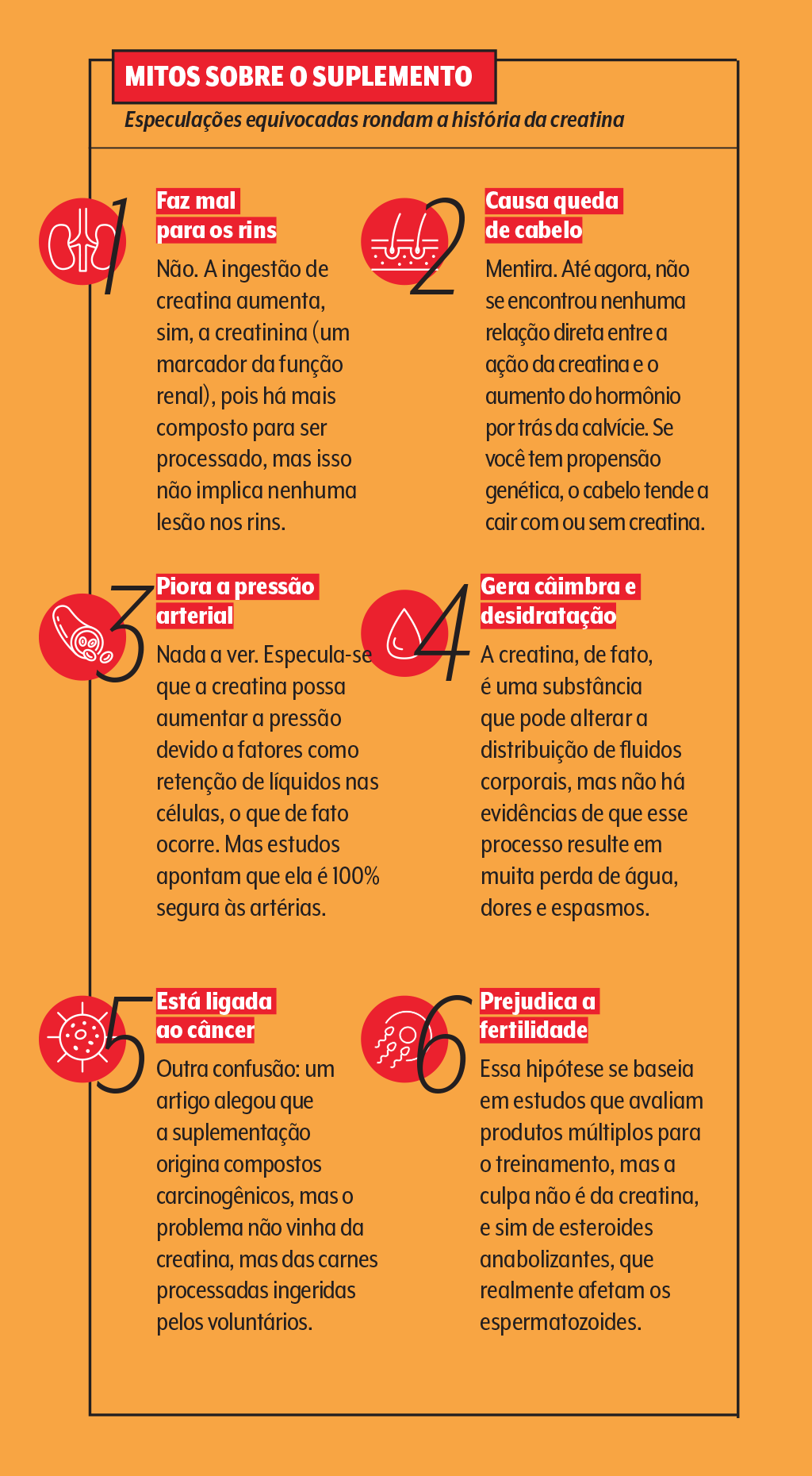 creatina-quadro-mitos-e-verdades creatina-quadro-mitos-e-verdades