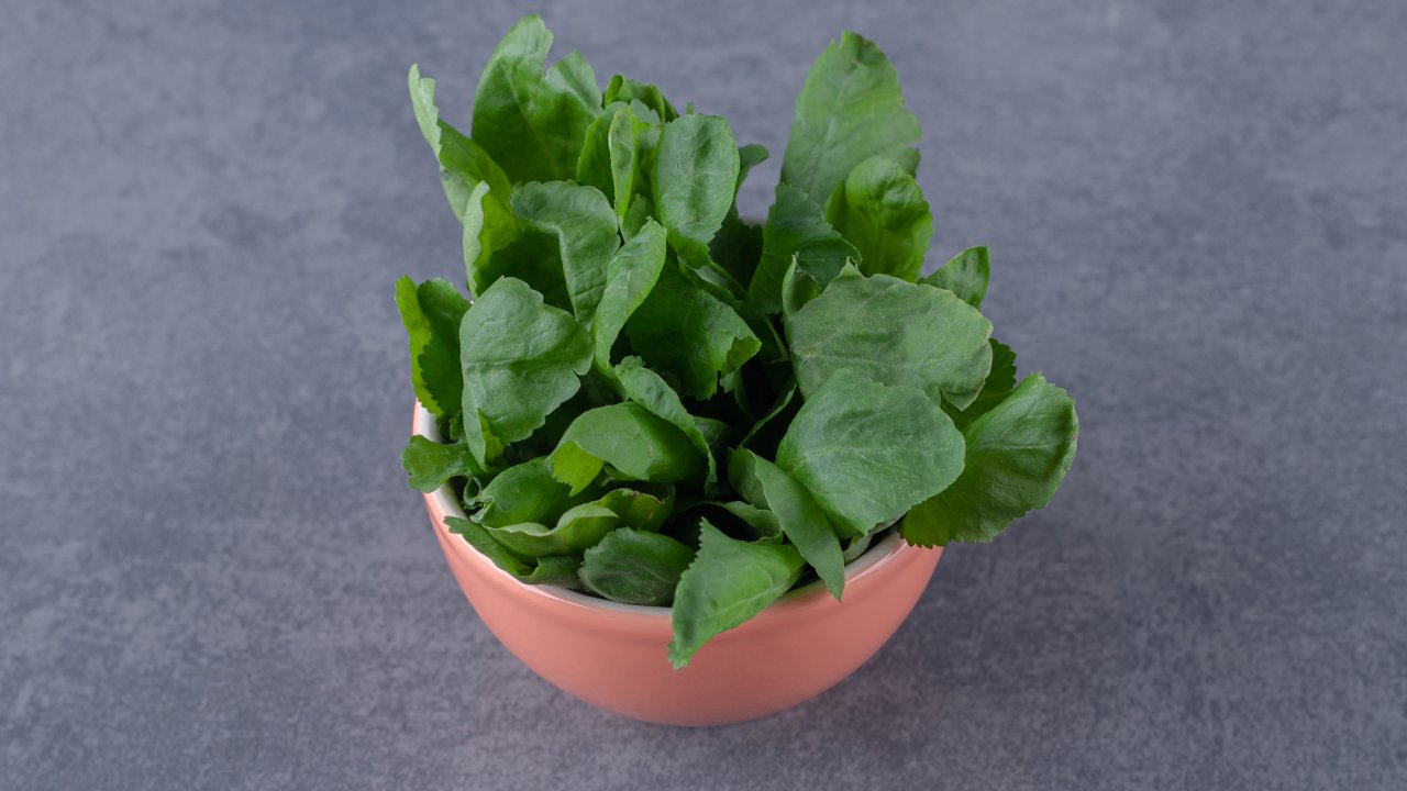 agriao-beneficios-comida