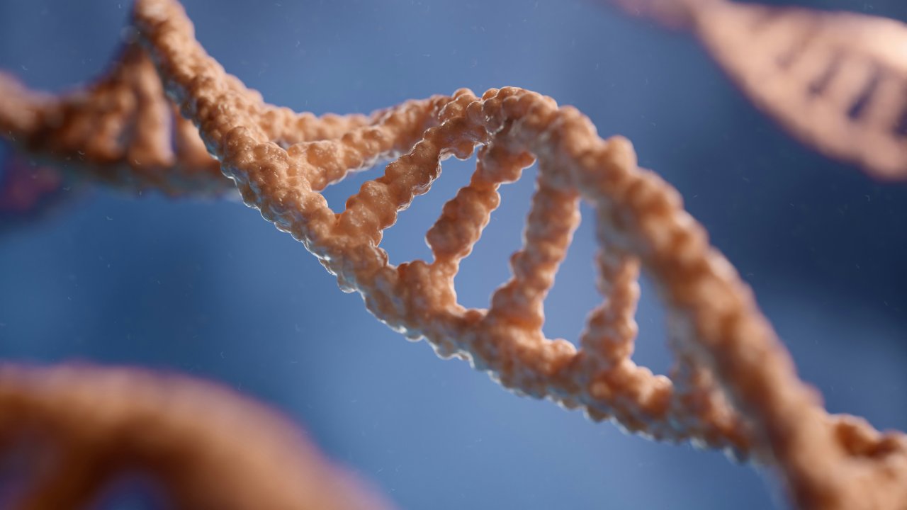 dna-genetica-genoma