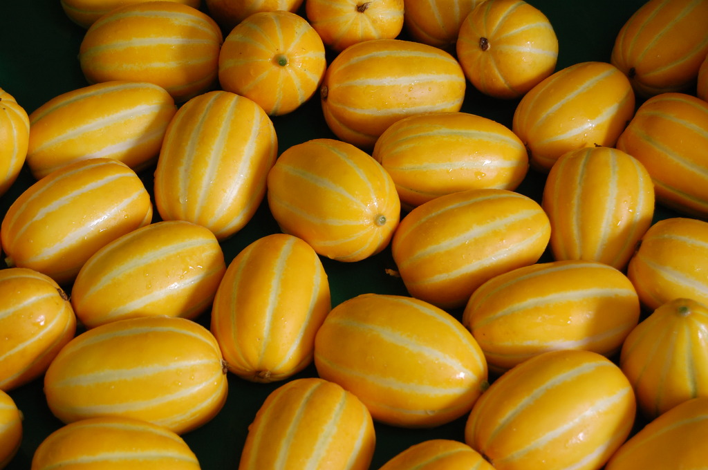 Melão coreano: conheça a fruta e seus benefícios à saúde