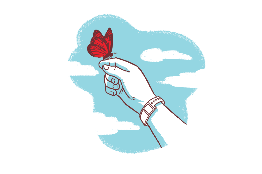 borboleta-esperança borboleta-esperança