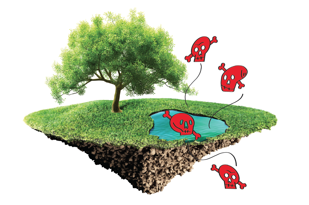 agrotoxicos-areas-preservadas
