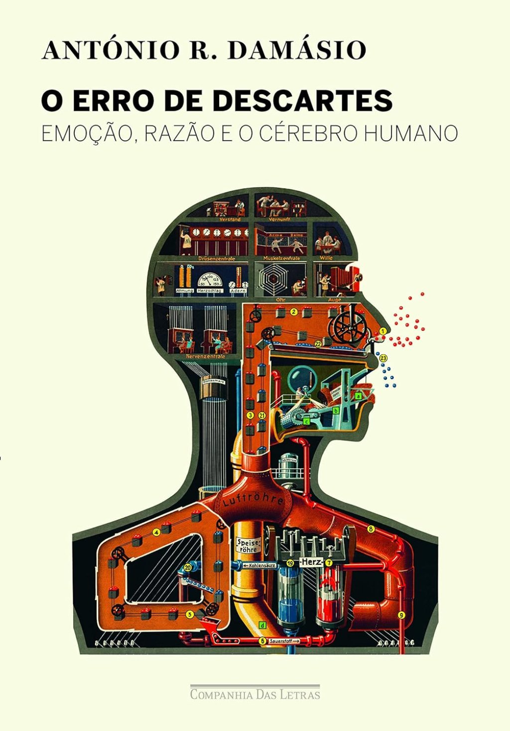 erro-descartes-livro erro-descartes-livro