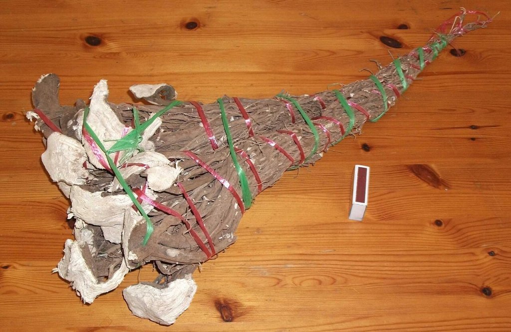 Chá de kava kava é receita tradicional do Pacífico contra a ansiedade