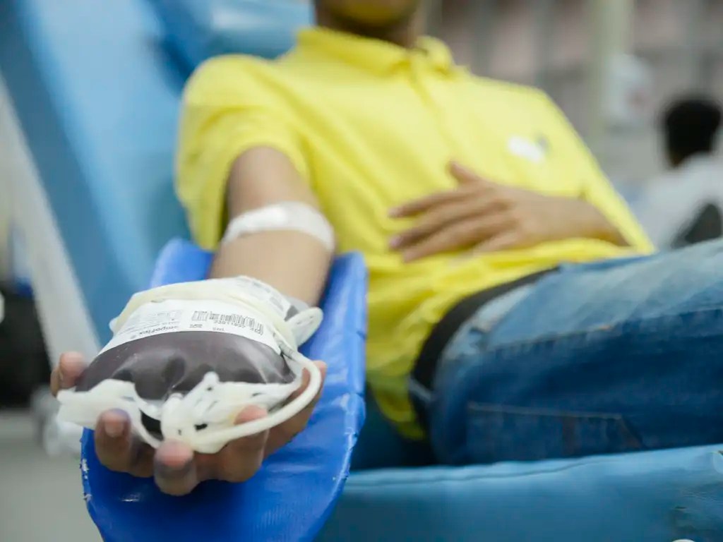 Doar sangue: um ato de amor, social e político