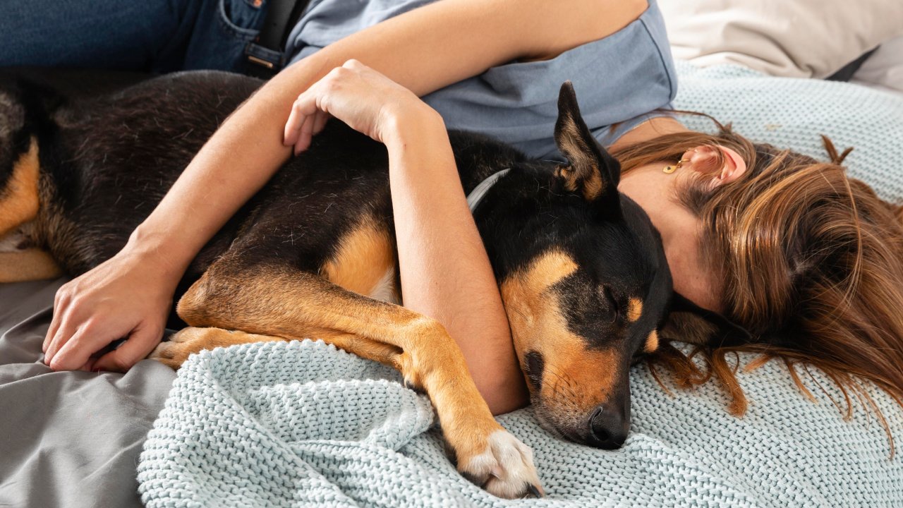 dormir-com-cachorro