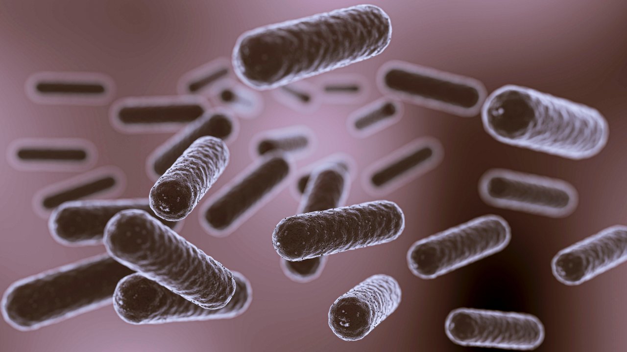 escherichia-coli-cancer