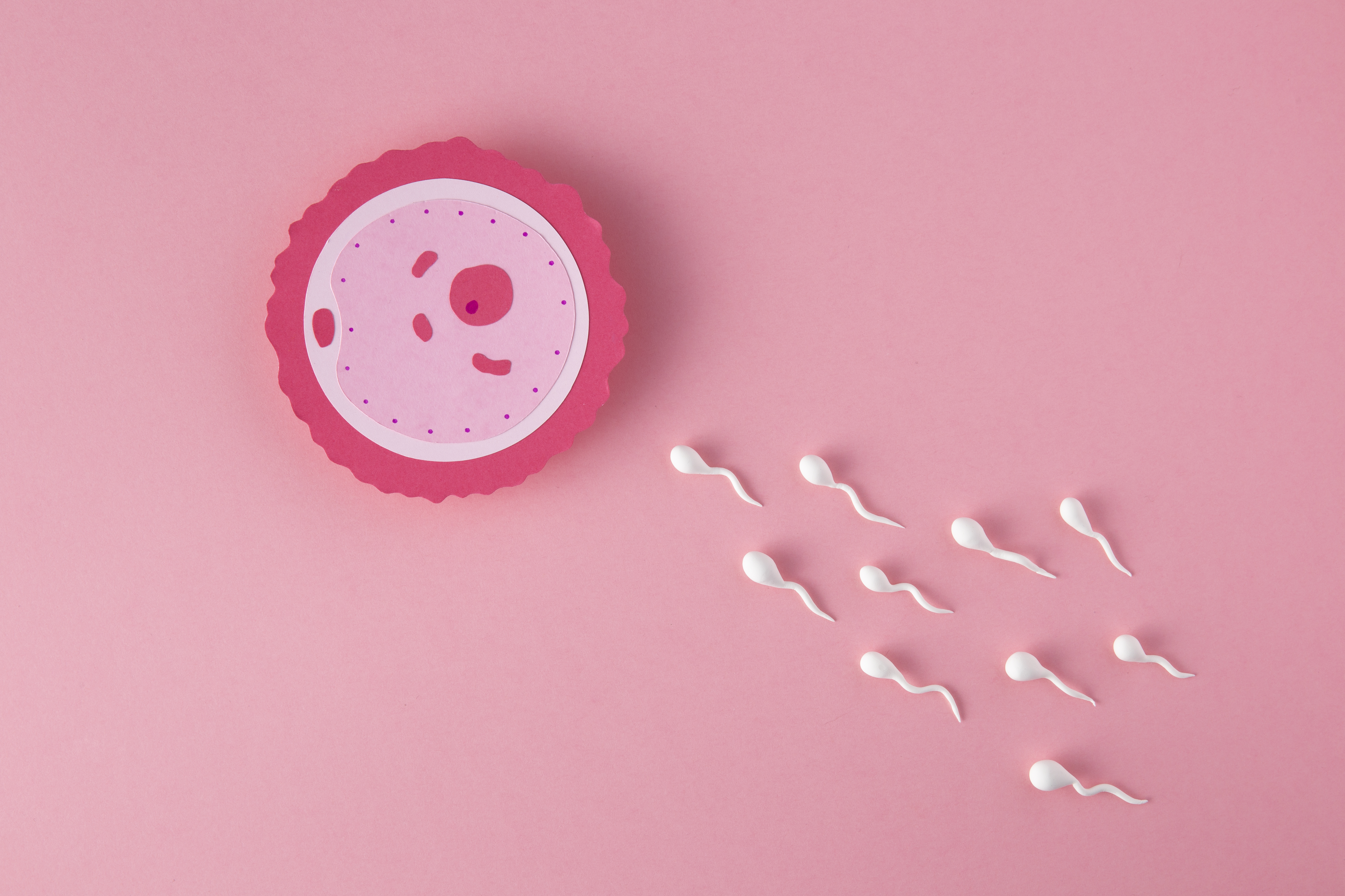 Testes de fertilidade: conheça as principais opções para mulheres e homens
