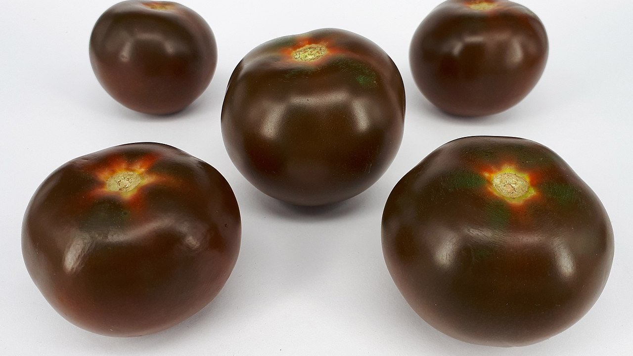 tomate-brown-marrom