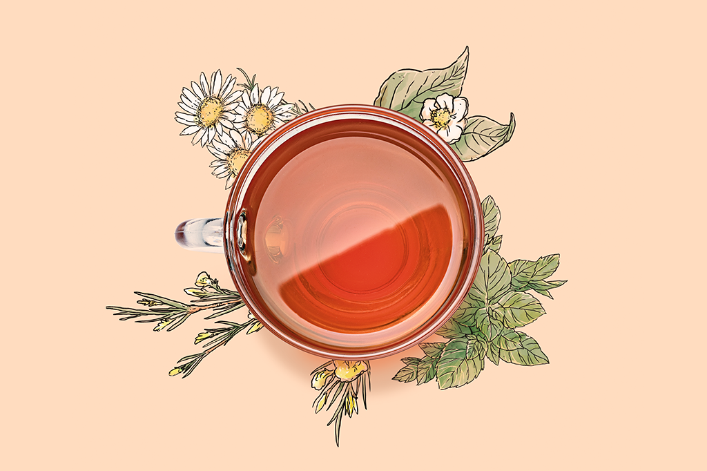 Da árvore ao chá: um brinde a uma nova era