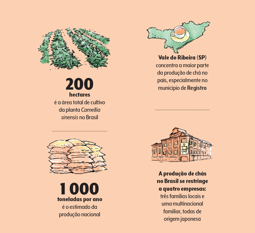cha-brasil-informações