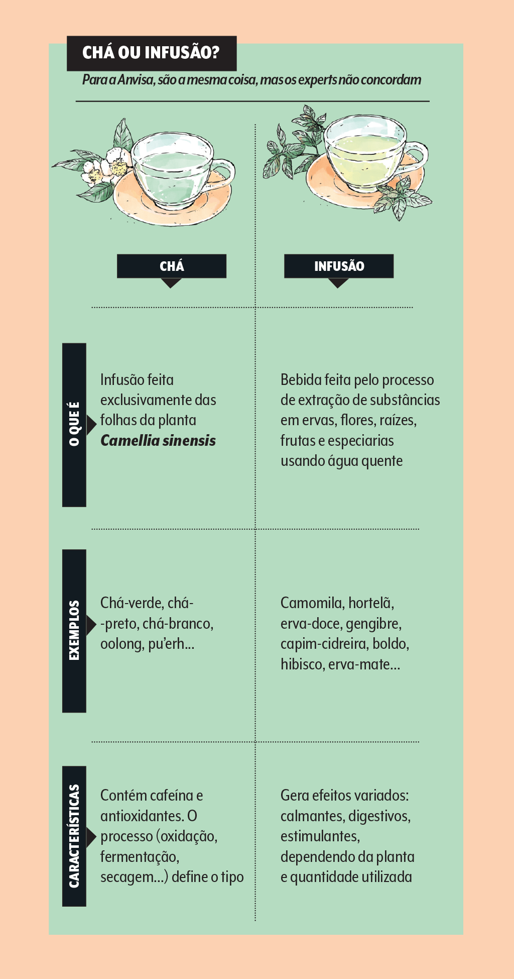 cha-ou-infusao-diferencas