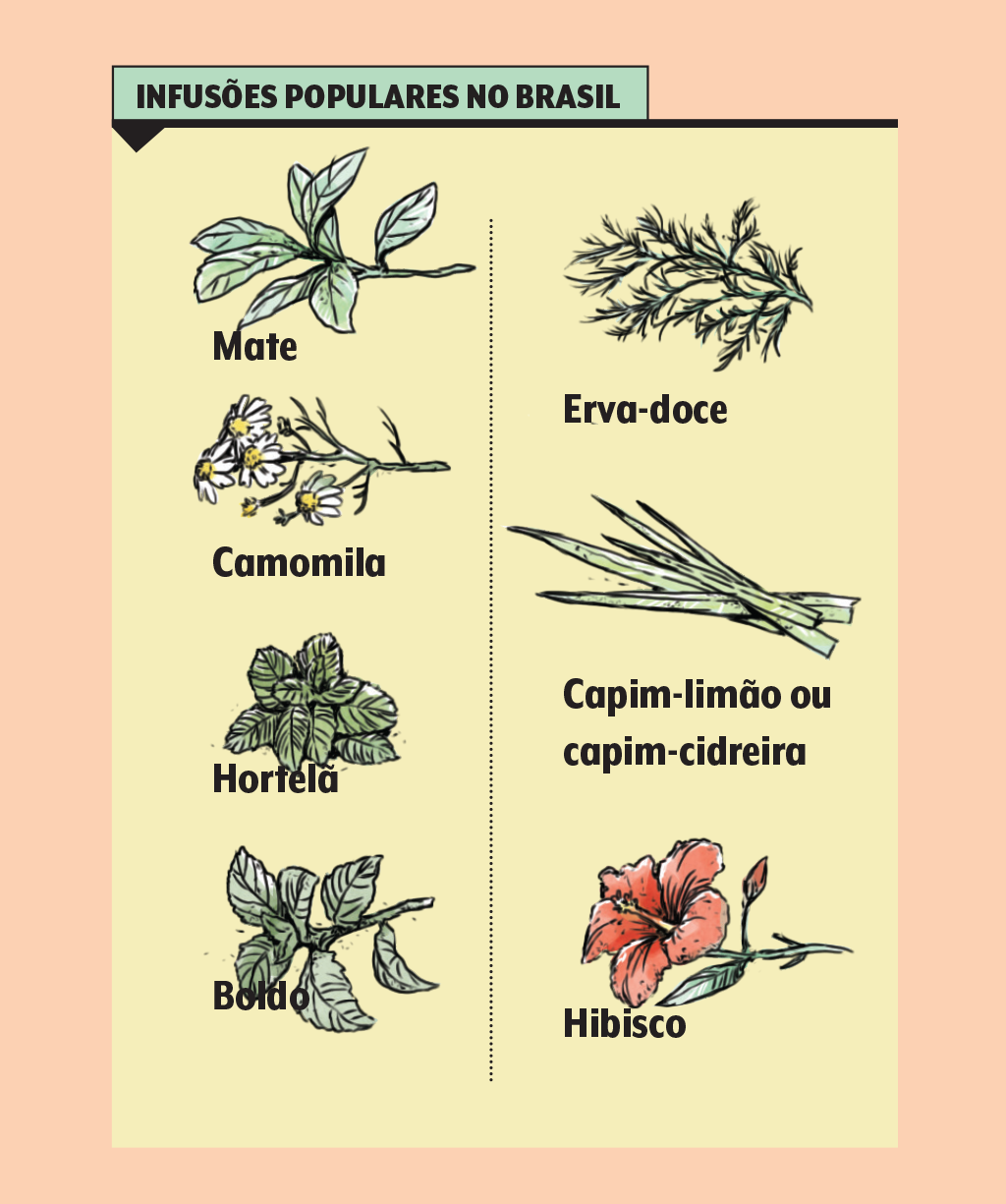 cha-infusoes-brasil